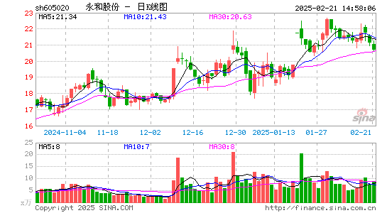 永和股份