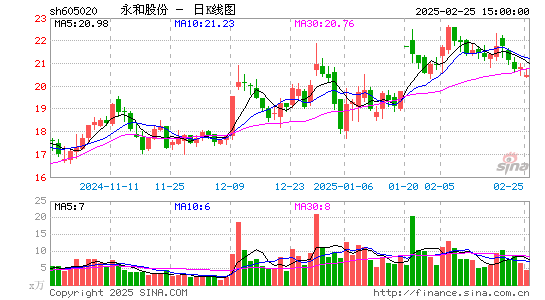 永和股份