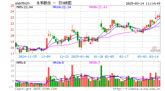 永和股份