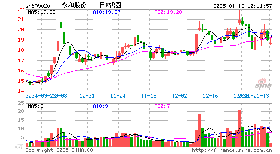 永和股份