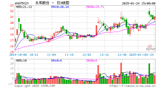 永和股份