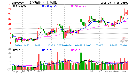 永和股份