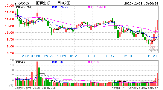 ������̬