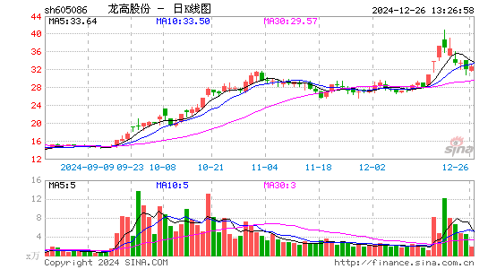 龙高股份