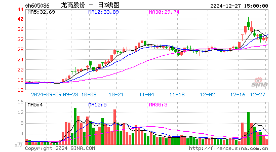 龙高股份