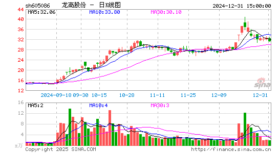 龙高股份