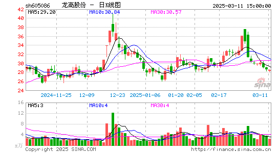 龙高股份