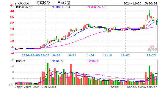 龙高股份