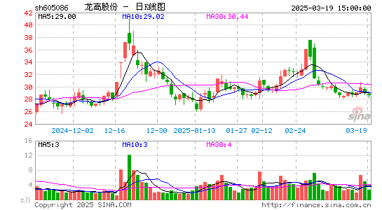 龙高股份