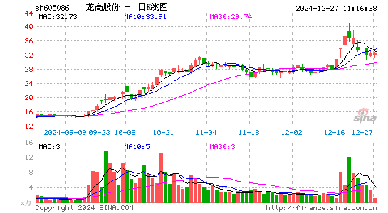 龙高股份