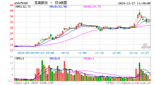 龙高股份