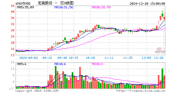 龙高股份