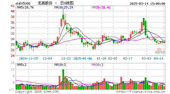 龙高股份