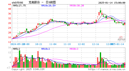 龙高股份