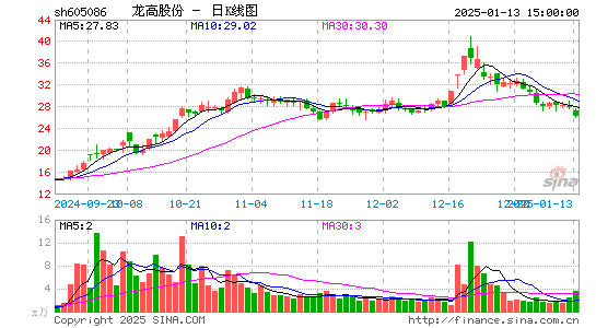 龙高股份