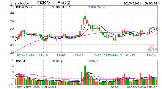 龙高股份