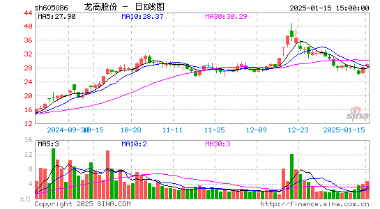 龙高股份