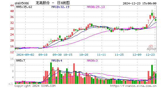 龙高股份