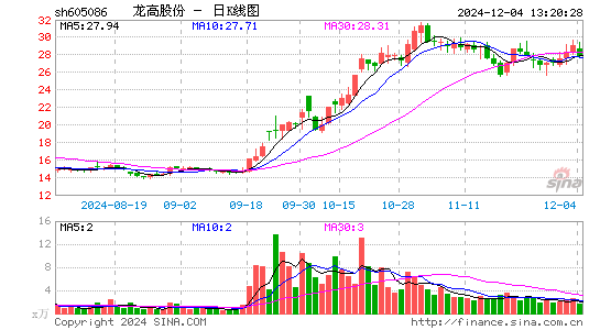 龙高股份