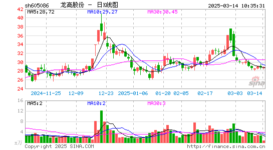 龙高股份