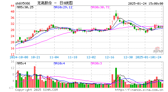 龙高股份