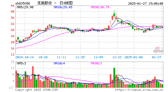 龙高股份