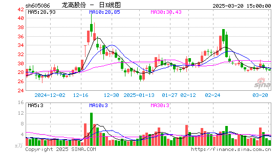 龙高股份