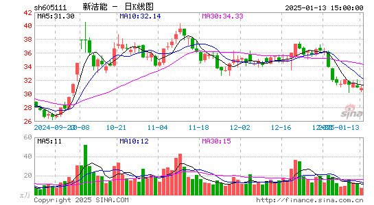 新洁能