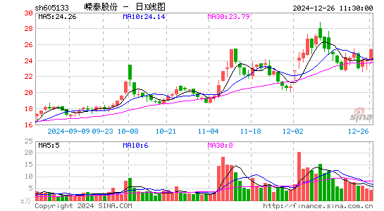 嵘泰股份