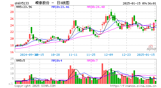 嵘泰股份