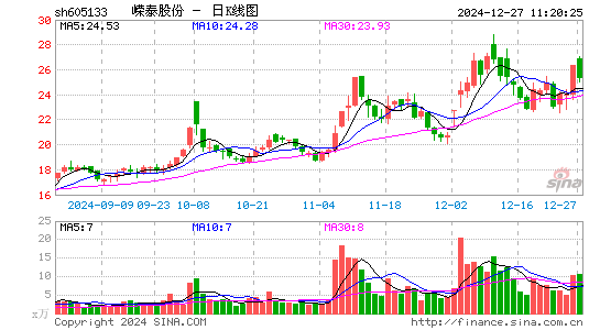 嵘泰股份