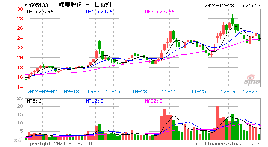 嵘泰股份