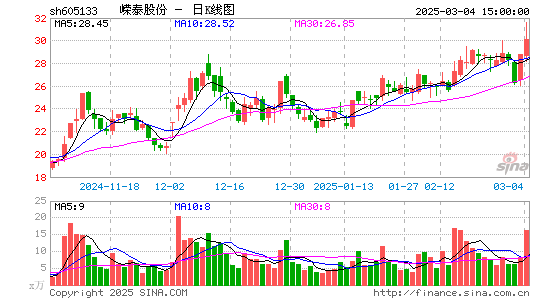 嵘泰股份