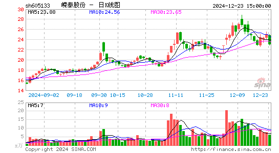 嵘泰股份