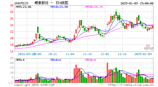 嵘泰股份