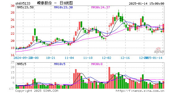 嵘泰股份