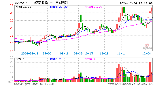 嵘泰股份