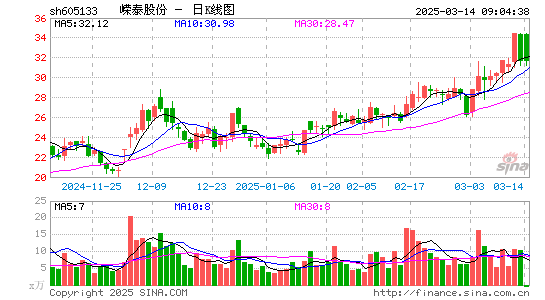 嵘泰股份