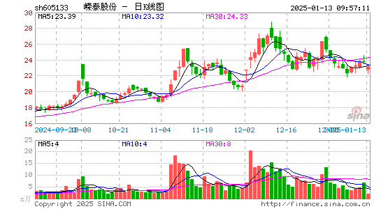 嵘泰股份