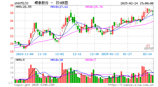 嵘泰股份