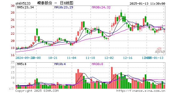 嵘泰股份