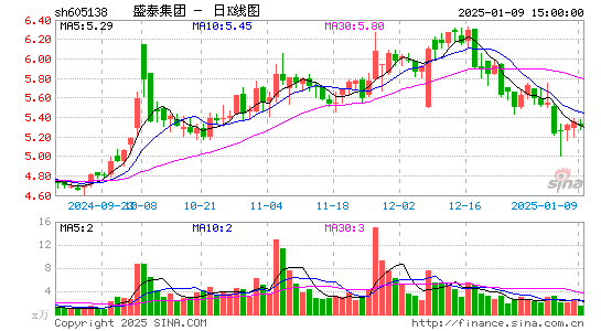 盛泰集团