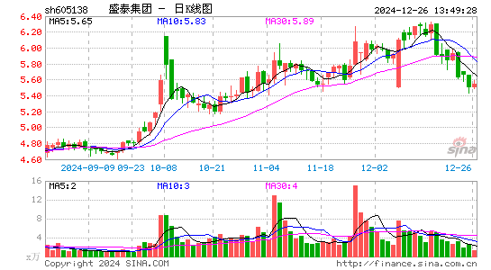 盛泰集团