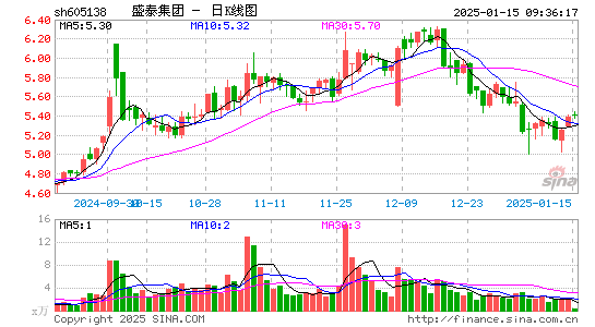 盛泰集团