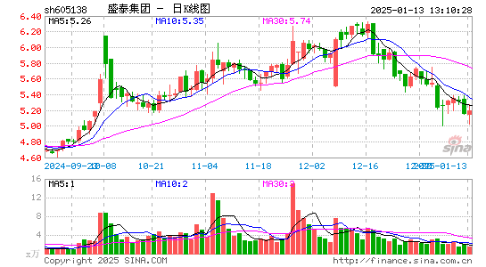 盛泰集团