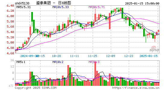 盛泰集团