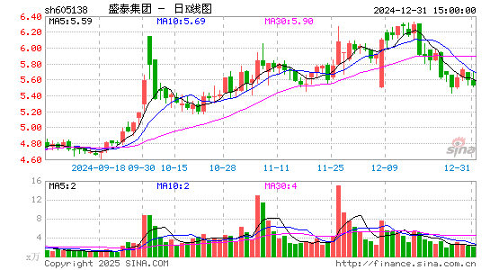 盛泰集团