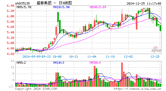 盛泰集团