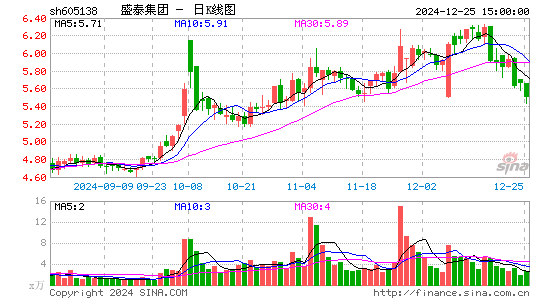 盛泰集团