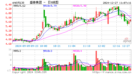 盛泰集团